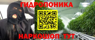 a pvp Будённовск