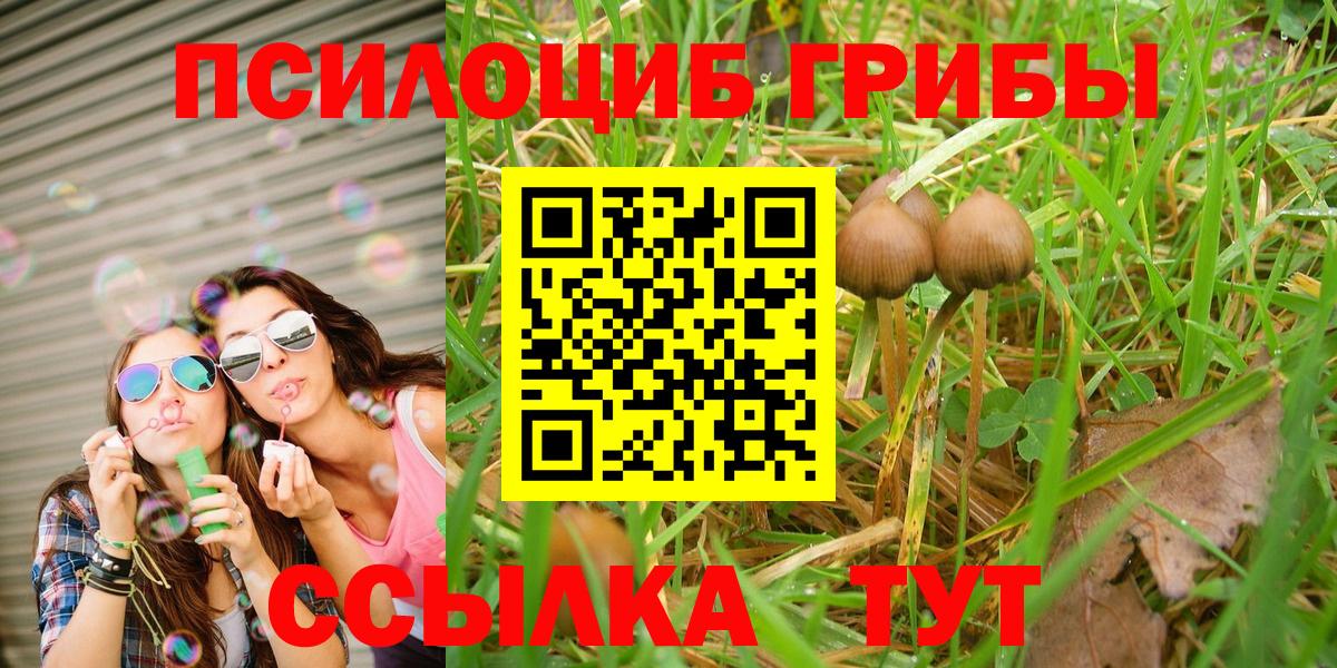 Псилоцибиновые грибы Psilocybe  Вход с VPN  Саратов 